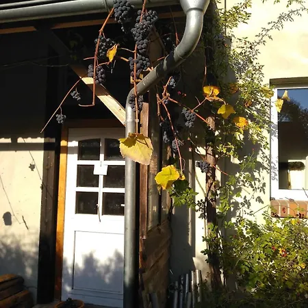 Auf Dem Kuenstlerhof *