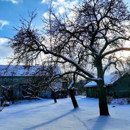 アパート Auf Dem Kuenstlerhof
