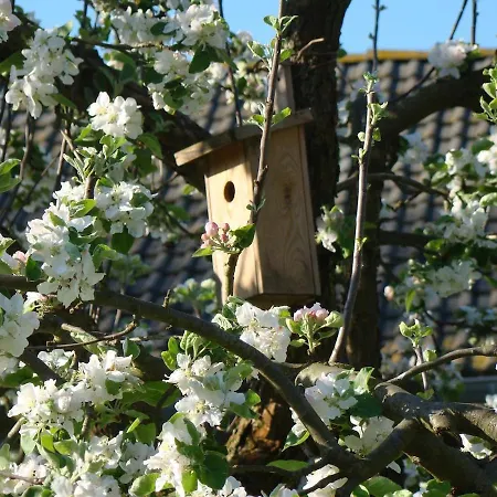 Auf Dem Kuenstlerhof アパート *