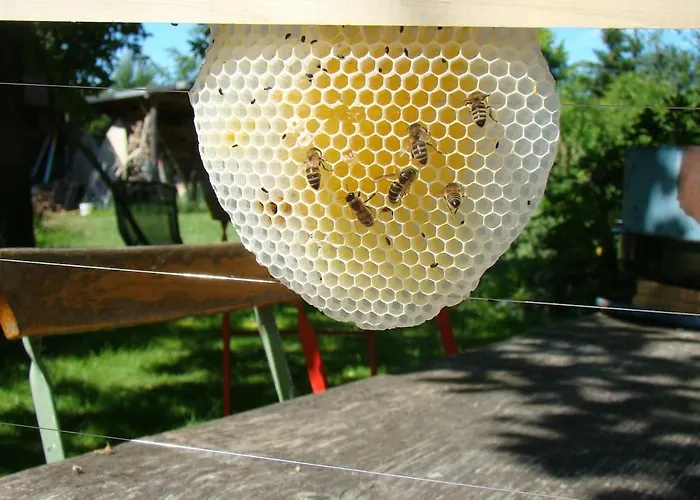 Auf Dem Kuenstlerhof Daire