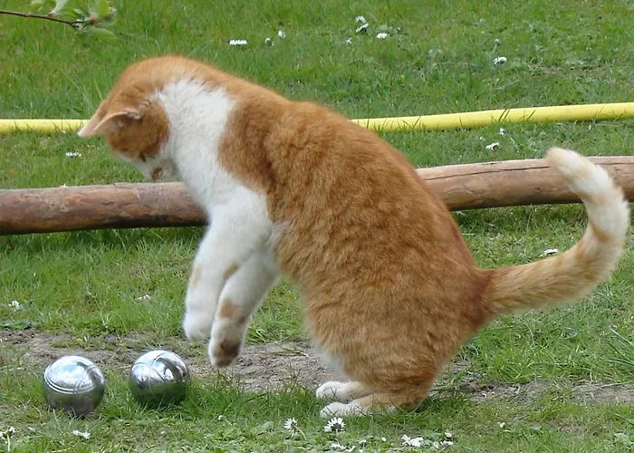 Auf Dem Kuenstlerhof Daire