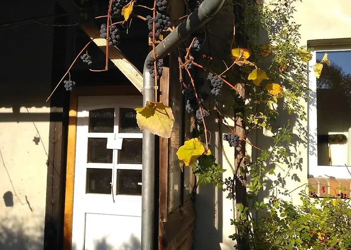 Auf Dem Kuenstlerhof *