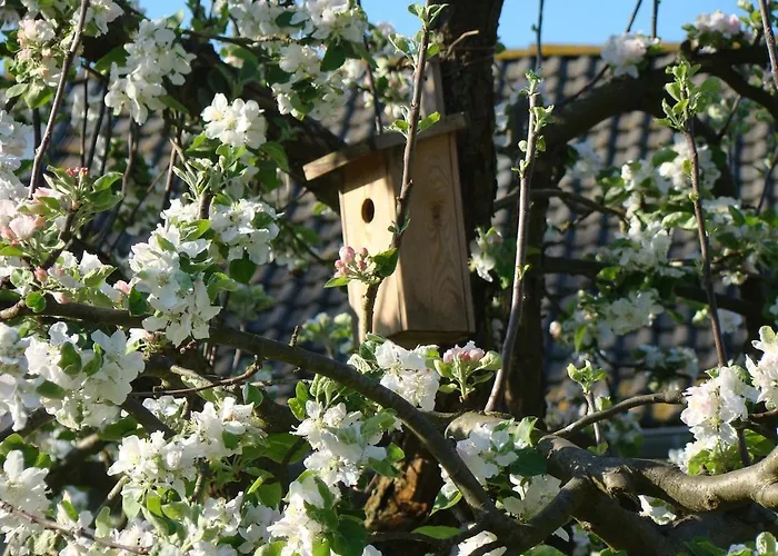 Auf Dem Kuenstlerhof Daire *